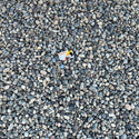 Arctic Pebbles Small (1/2" - 1") River Rock