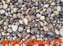 River Cobble 1" - 2" Landscape River Rock